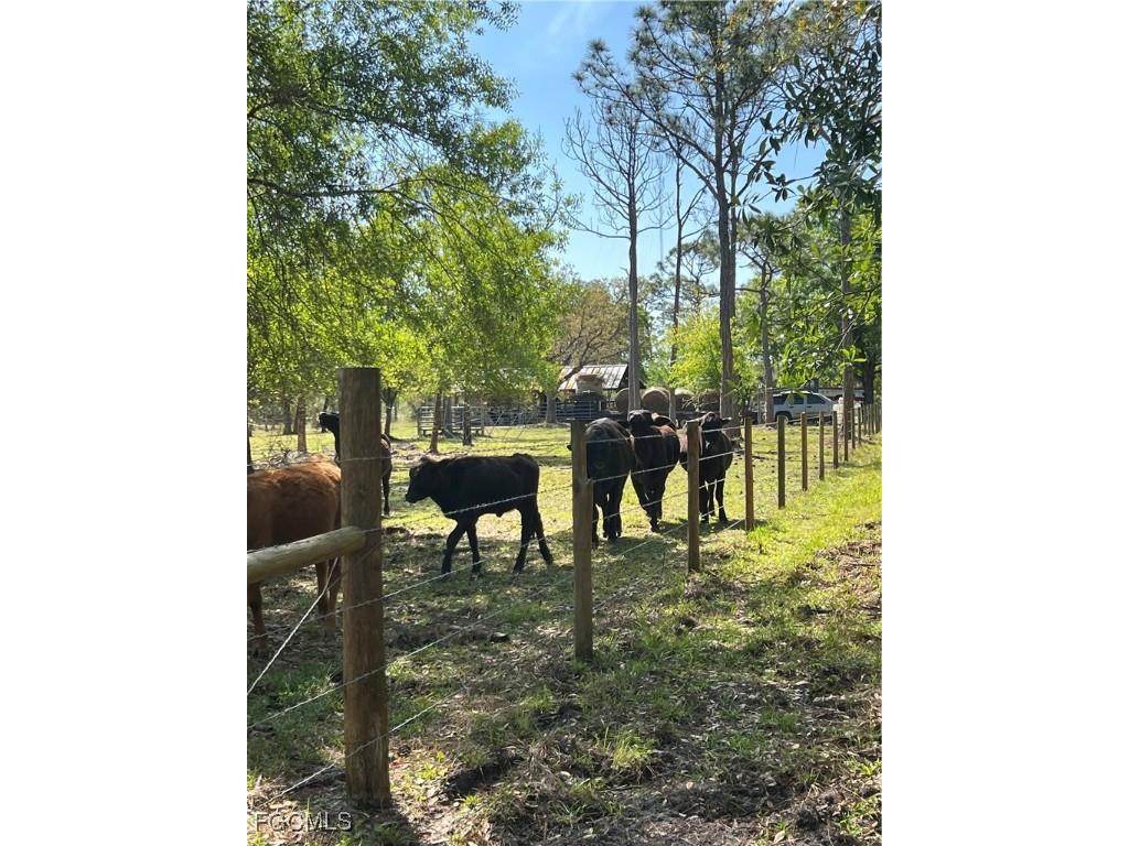 15841 Rasmussen Road Punta Gorda FL 33982 224093453 image23