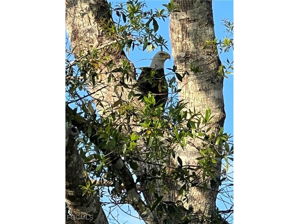 15841 Rasmussen Road Punta Gorda FL 33982 224093453 image25