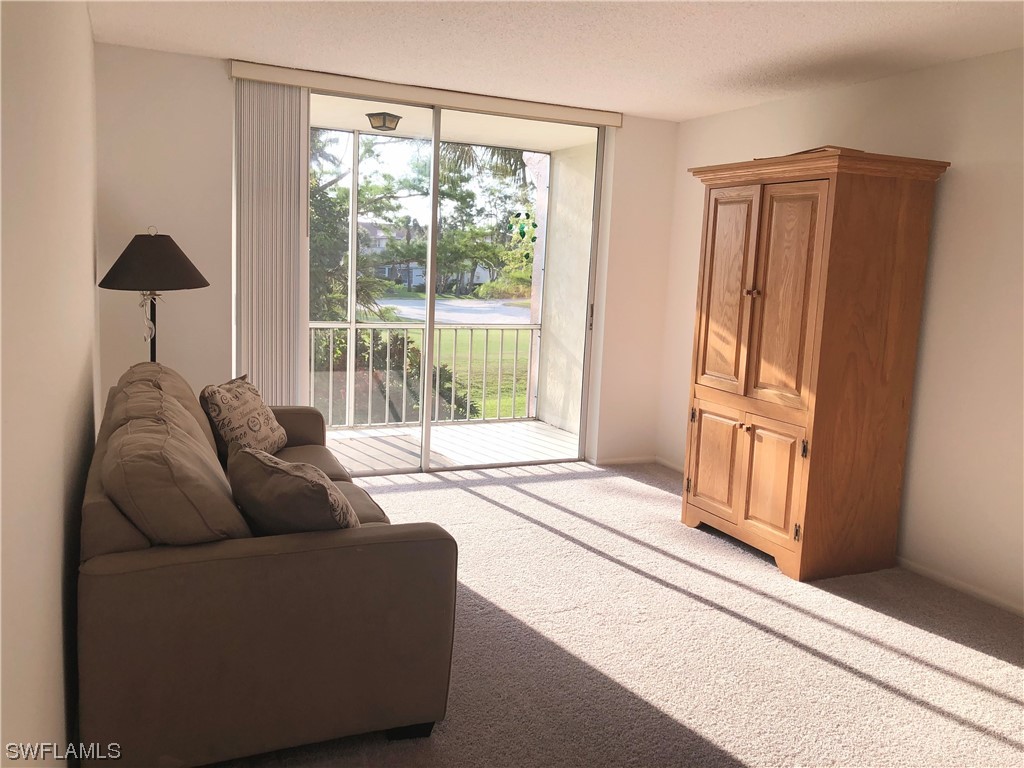 160 Turtle Lake Court #206 Naples FL 34105 223023440 image1