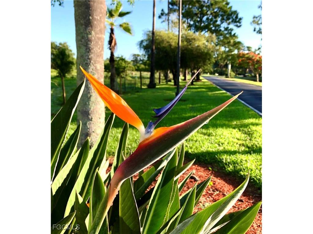 16000 Bay Pointe Boulevard #306 North Fort Myers FL 33917 2025019193 image36