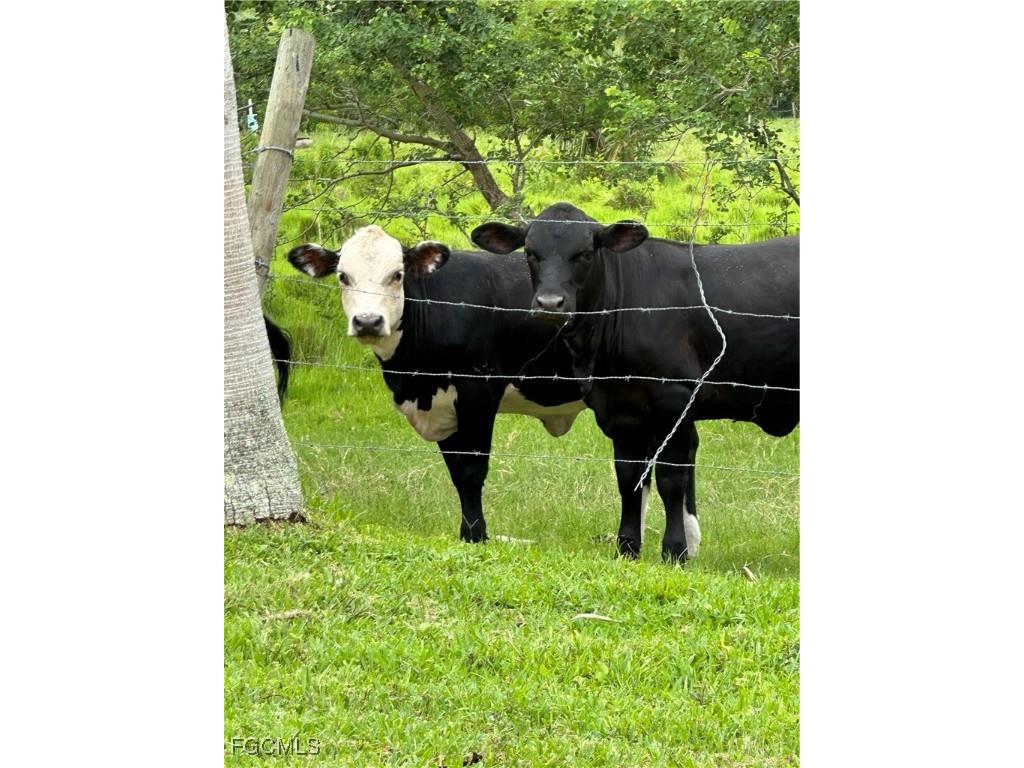 16000 Bay Pointe Boulevard #306 North Fort Myers FL 33917 2025019193 image38