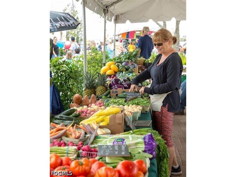 16000 Grassland Lane #3118 Punta Gorda FL 33982 2026015866 image50