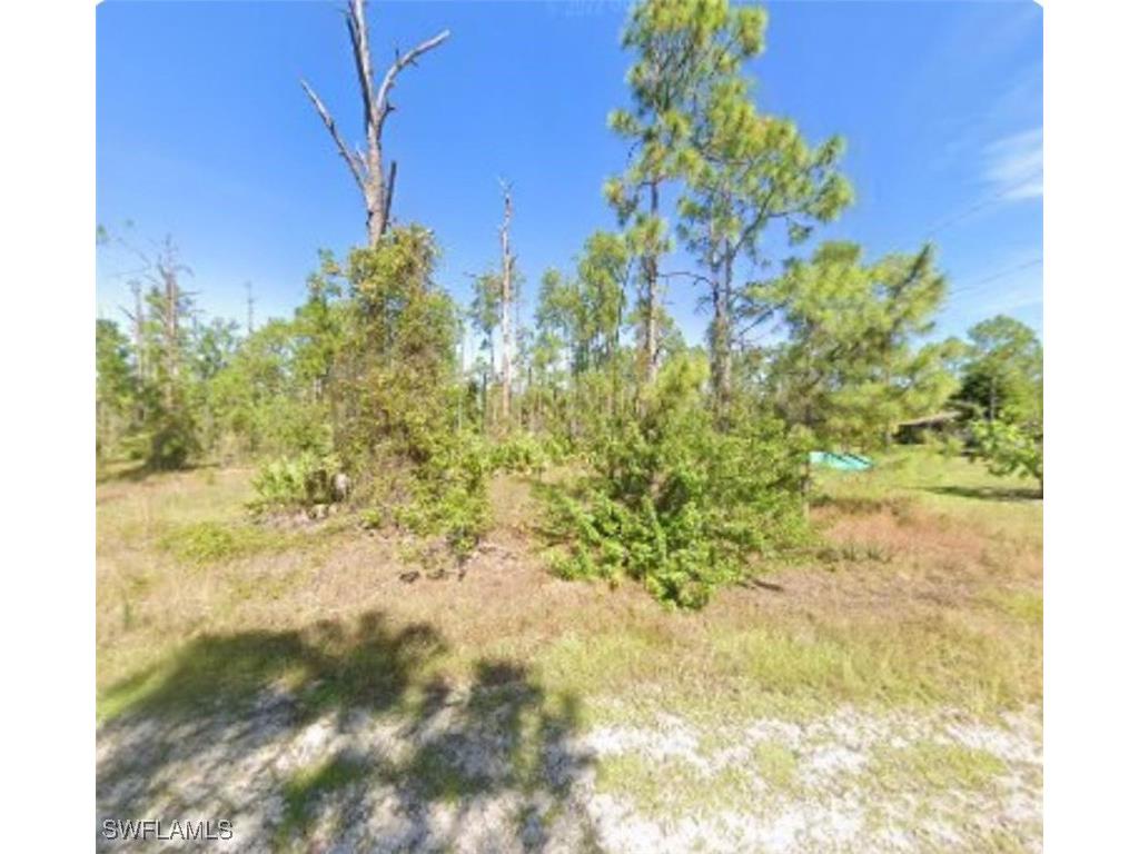 1602 E 13th Street Lehigh Acres FL 33972 225041084 image1