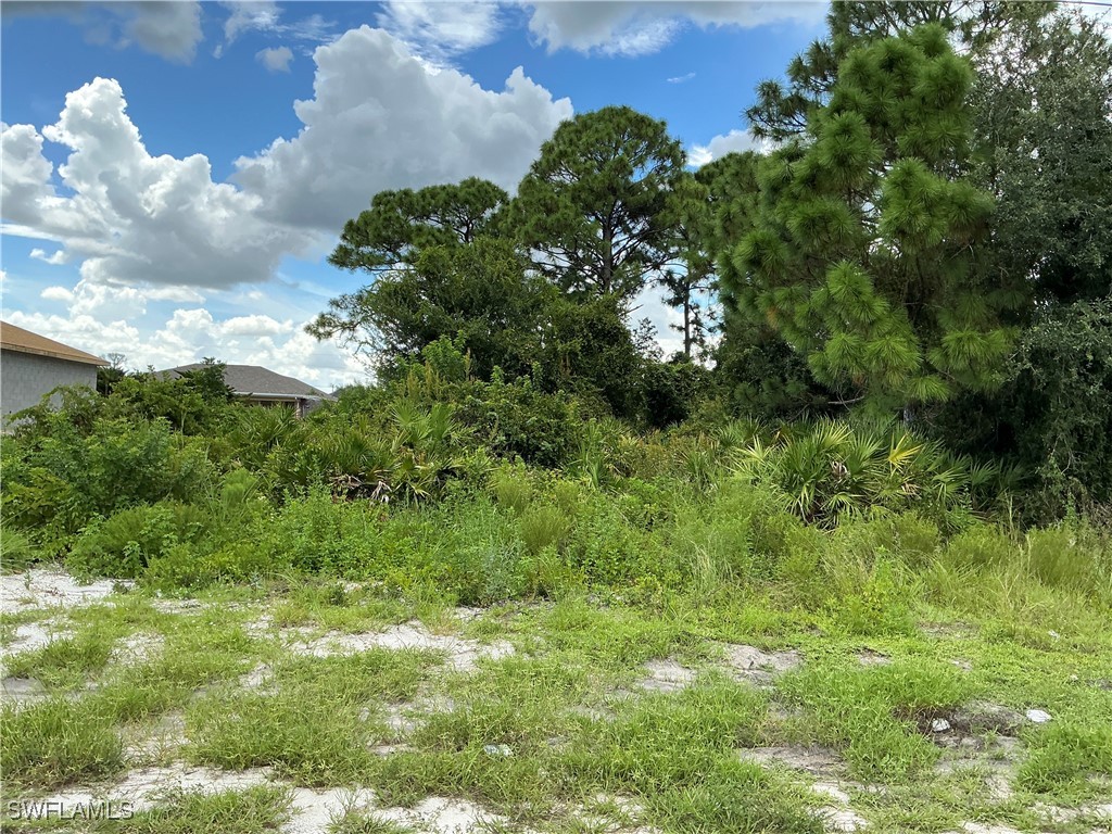 1602 Hanna Avenue S Lehigh Acres FL 33976 224075414 image1