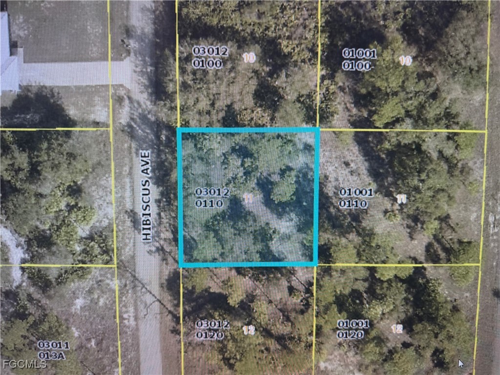 1602 Hibiscus Avenue Lehigh Acres FL 33972 2025002318 image1