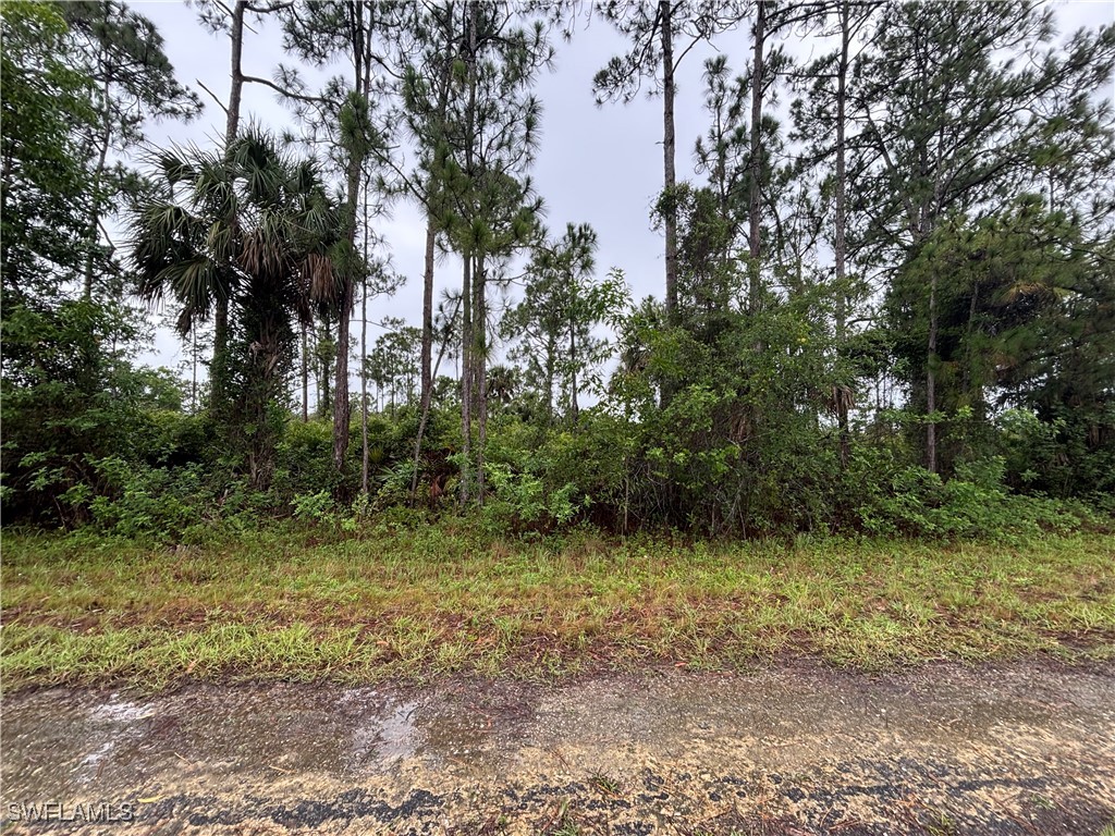 1602 Loraine Avenue S Lehigh Acres FL 33976 225065099 image1