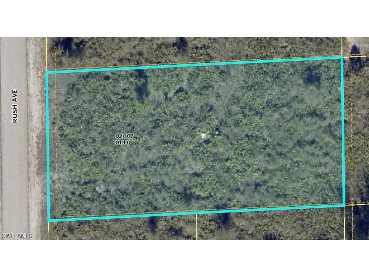 1602 Rush Avenue Lehigh Acres FL 33972 223079244 image1