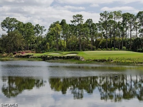 16029 Trebbio Way Naples FL 34110 226012462 image38