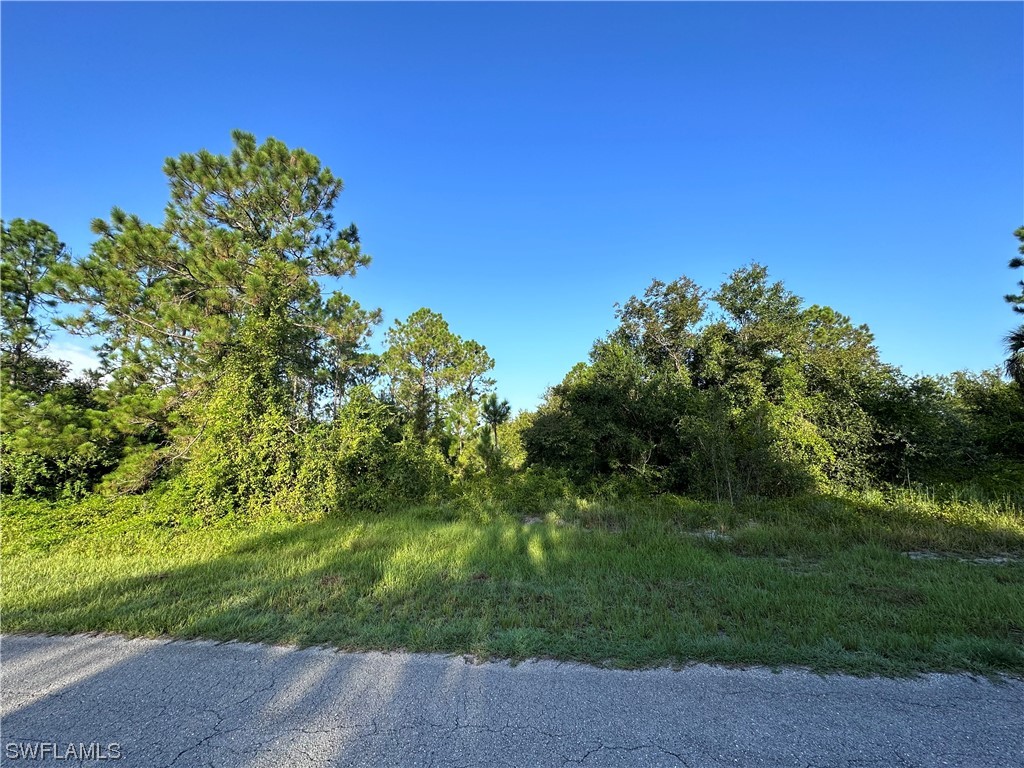 1603 Calvin Avenue Lehigh Acres FL 33972 223057450 image1