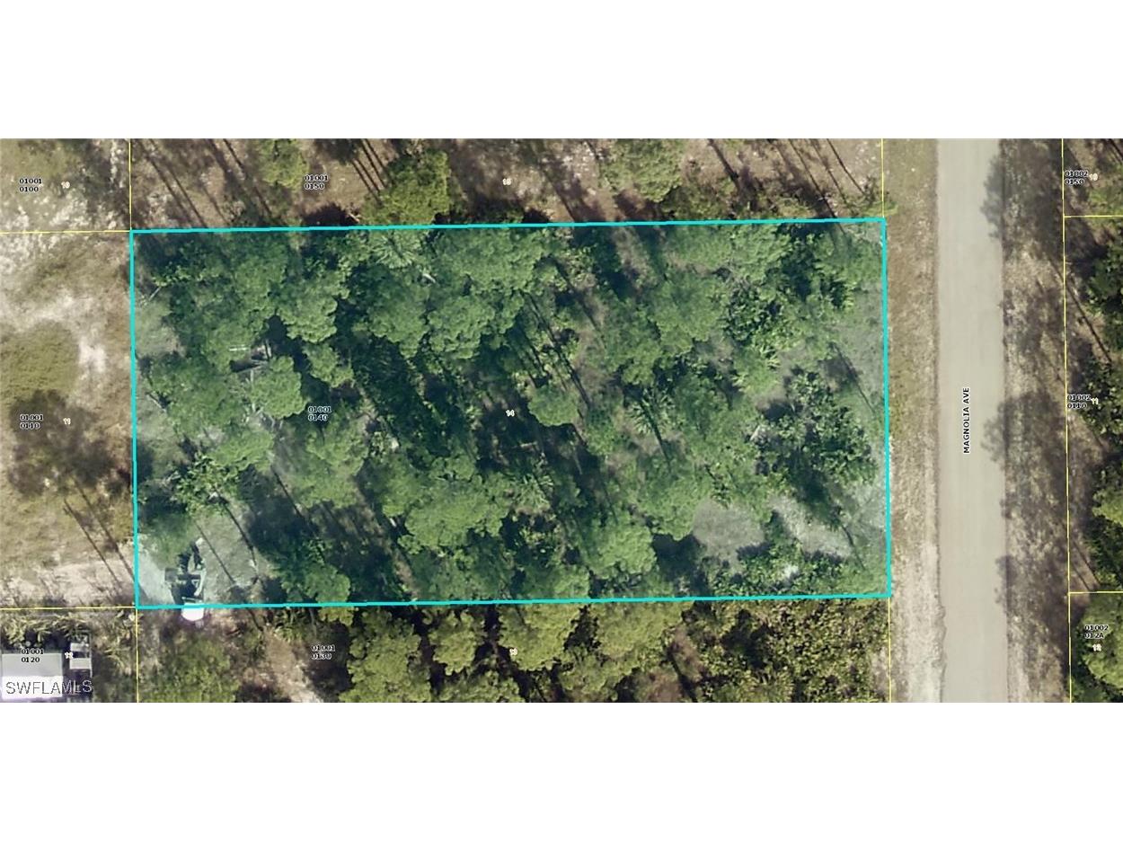 1603 Magnolia Avenue Lehigh Acres FL 33972 225035334 image1