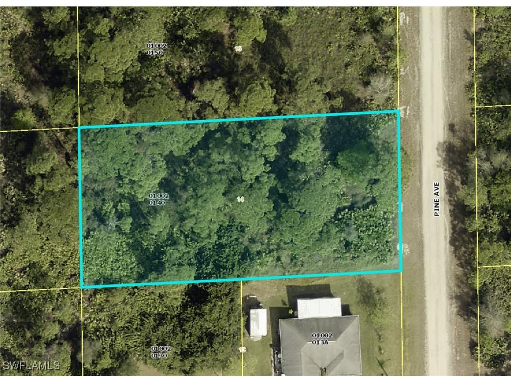 1603 Pine Avenue Lehigh Acres FL 33972 225020477 image1