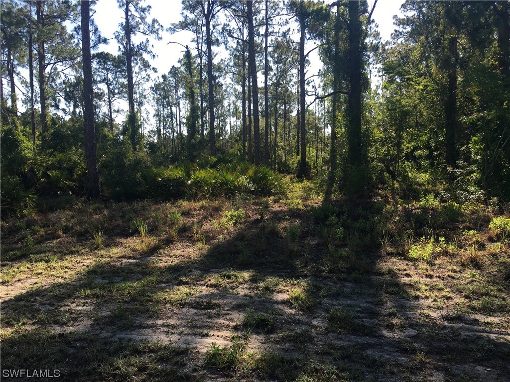 1604 Acacia Avenue Lehigh Acres FL 33972 223039001 image1