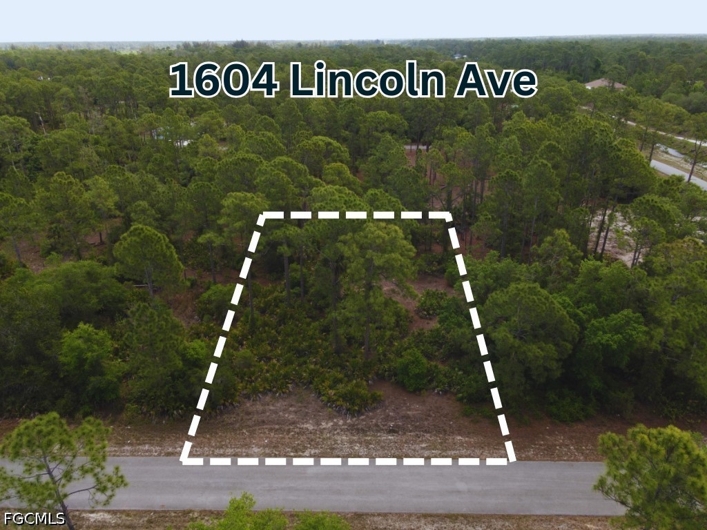 1604 Lincoln Avenue Lehigh Acres FL 33972 2026017312 image1