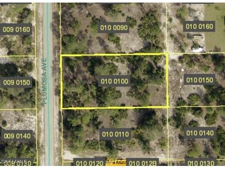 1604 Plumosa Avenue Lehigh Acres FL 33972 224099541 image1