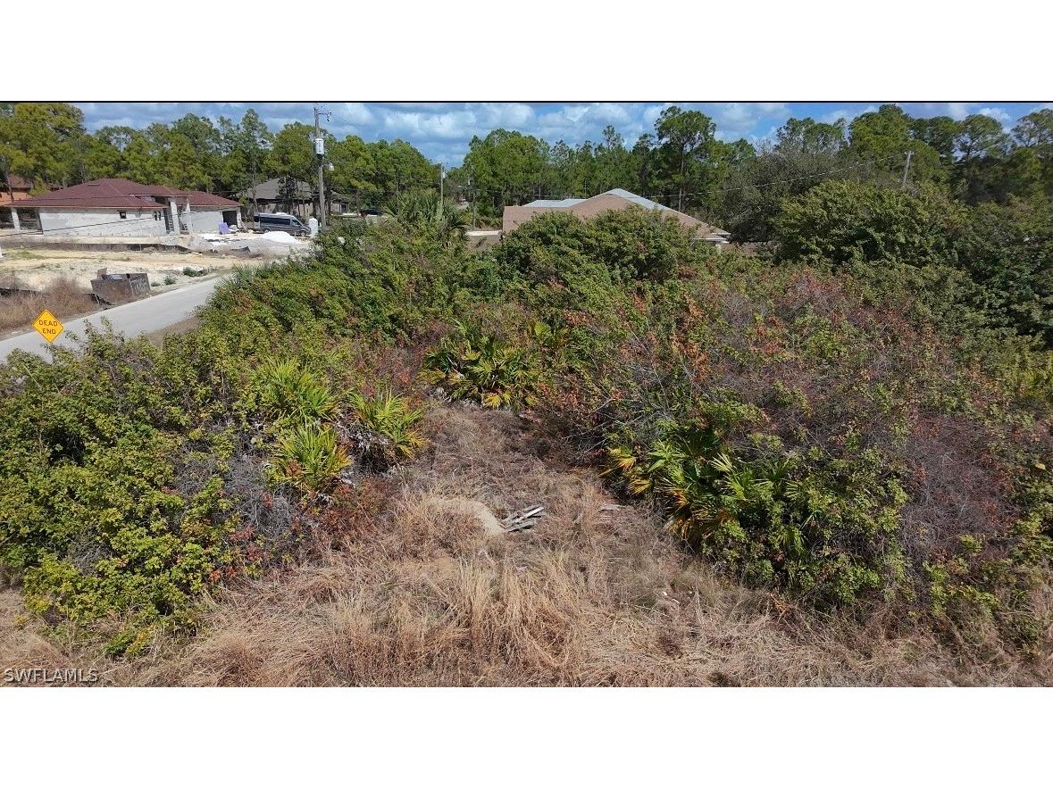 1606 W 11th Street Lehigh Acres FL 33972 226010774 image3