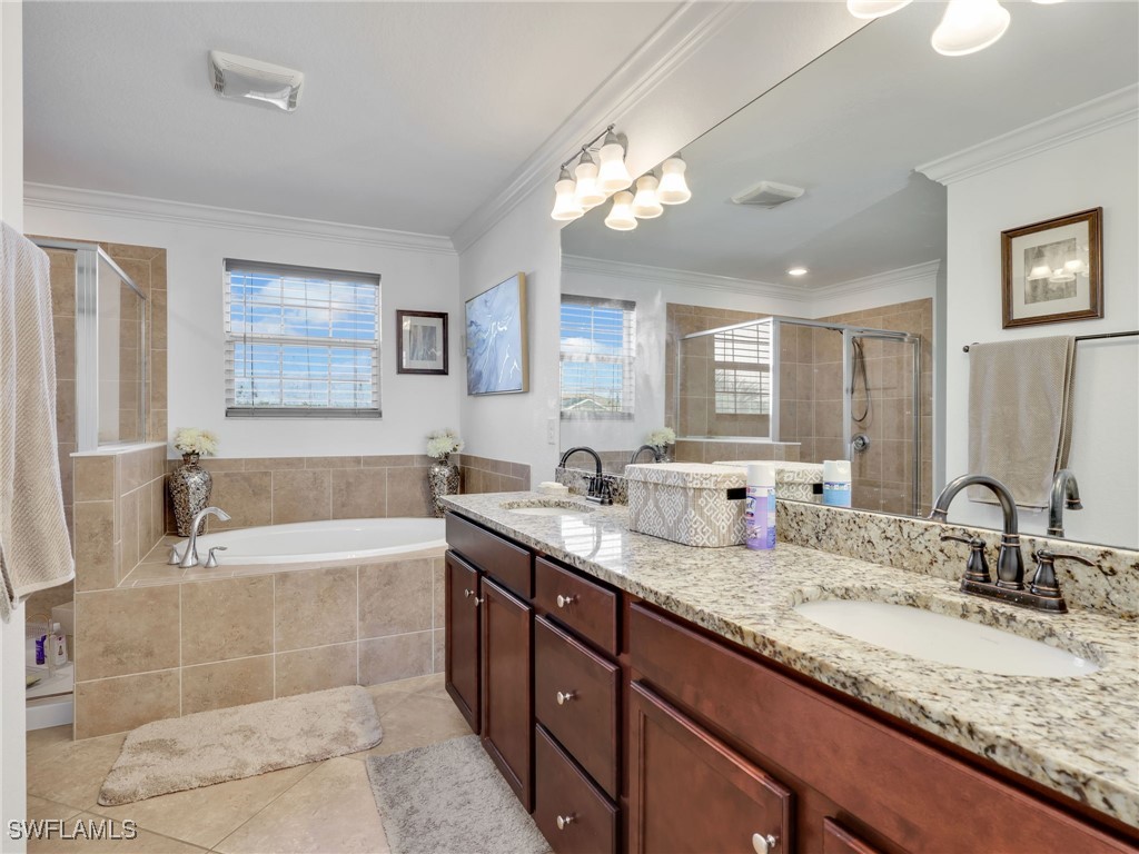 16066 Mistflower Drive Alva FL 33920 225078102 image23