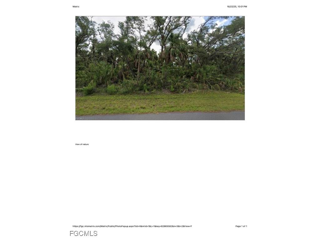 1607 Louis Avenue Lehigh Acres FL 33972 2025017056 image1