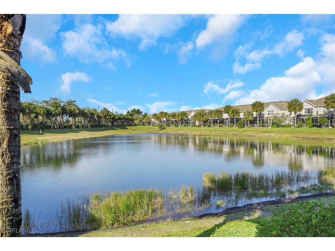 16073 Ravina Way Naples FL 34110 226001876 image29