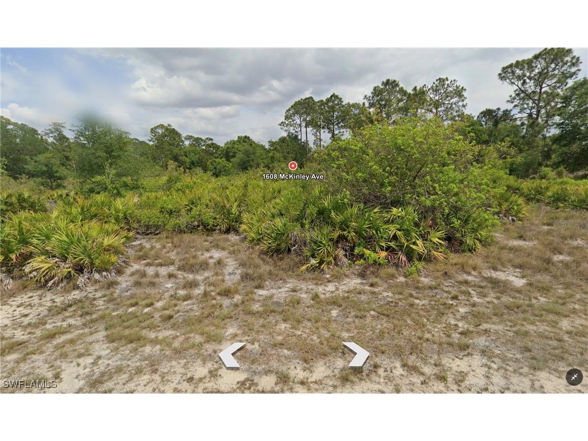 1608 Mckinley Avenue Lehigh Acres FL 33972 226004244 image2