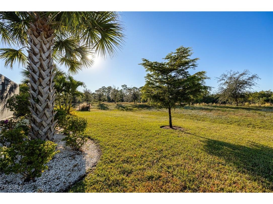 16089 Rosemallow Lane Alva FL 33920 2025020661 image43