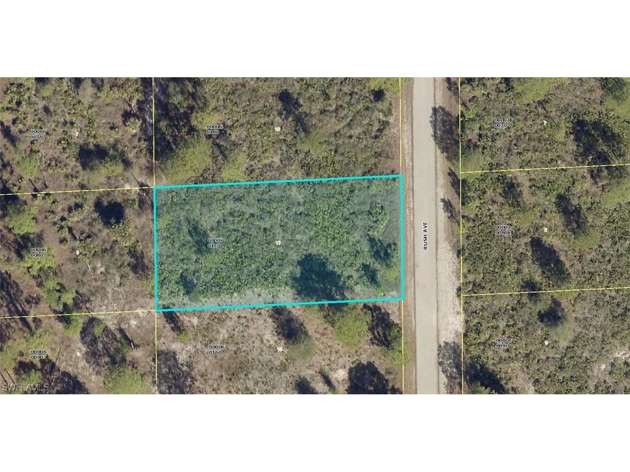 1609 Rush Avenue Lehigh Acres FL 33972 223012244 image1