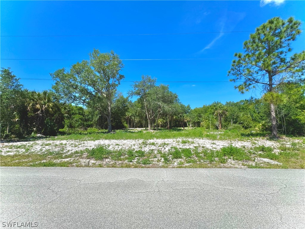 1609 Truman Avenue Lehigh Acres FL 33972 224034811 image1