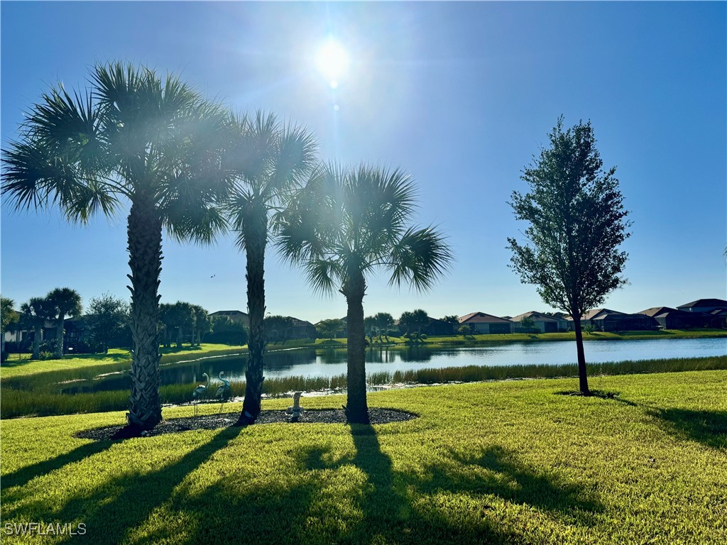 16098 Mistflower Drive Alva FL 33920 225075430 image24