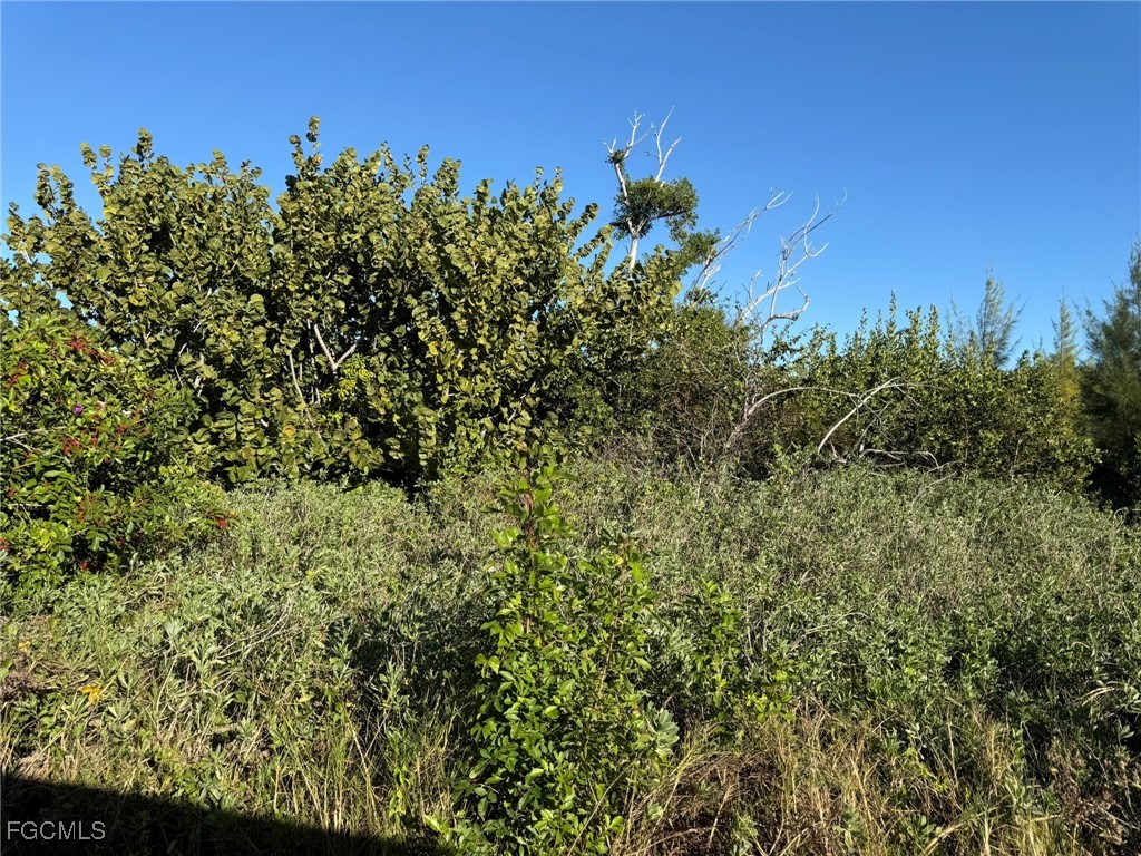 161 Swallow Drive Captiva FL 33924 2026003178 image2