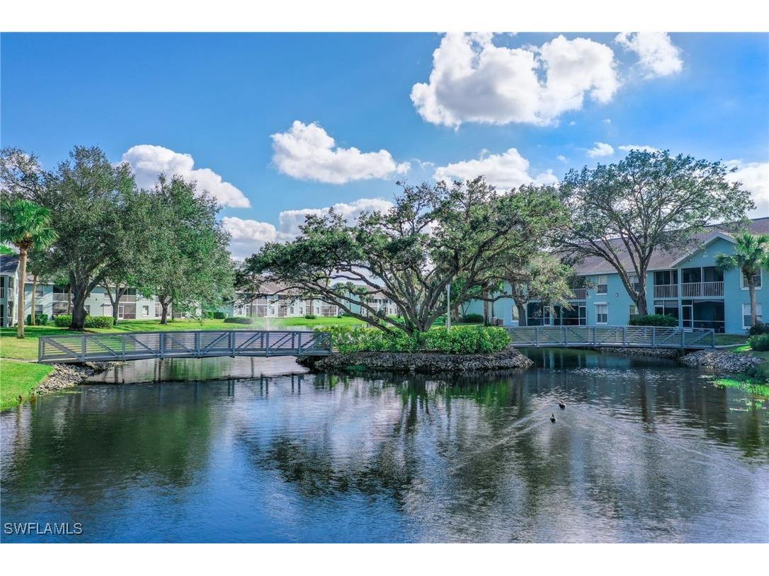 161 Wading Bird Circle #L101 Naples FL 34110 225078257 image43