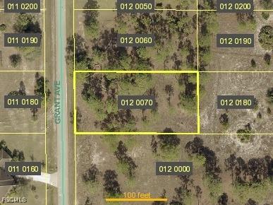 1610 Grant Avenue Lehigh Acres FL 33972 2025015181 image1