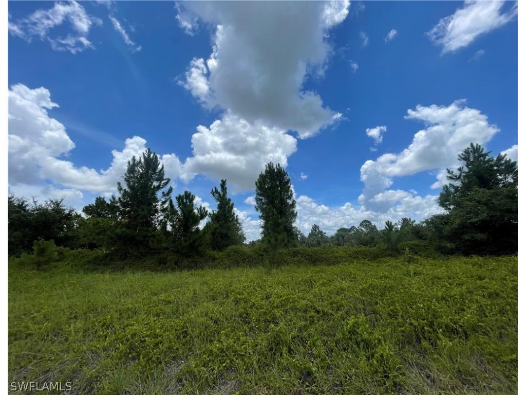 1610 Irving Avenue Lehigh Acres FL 33972 222090542 image1