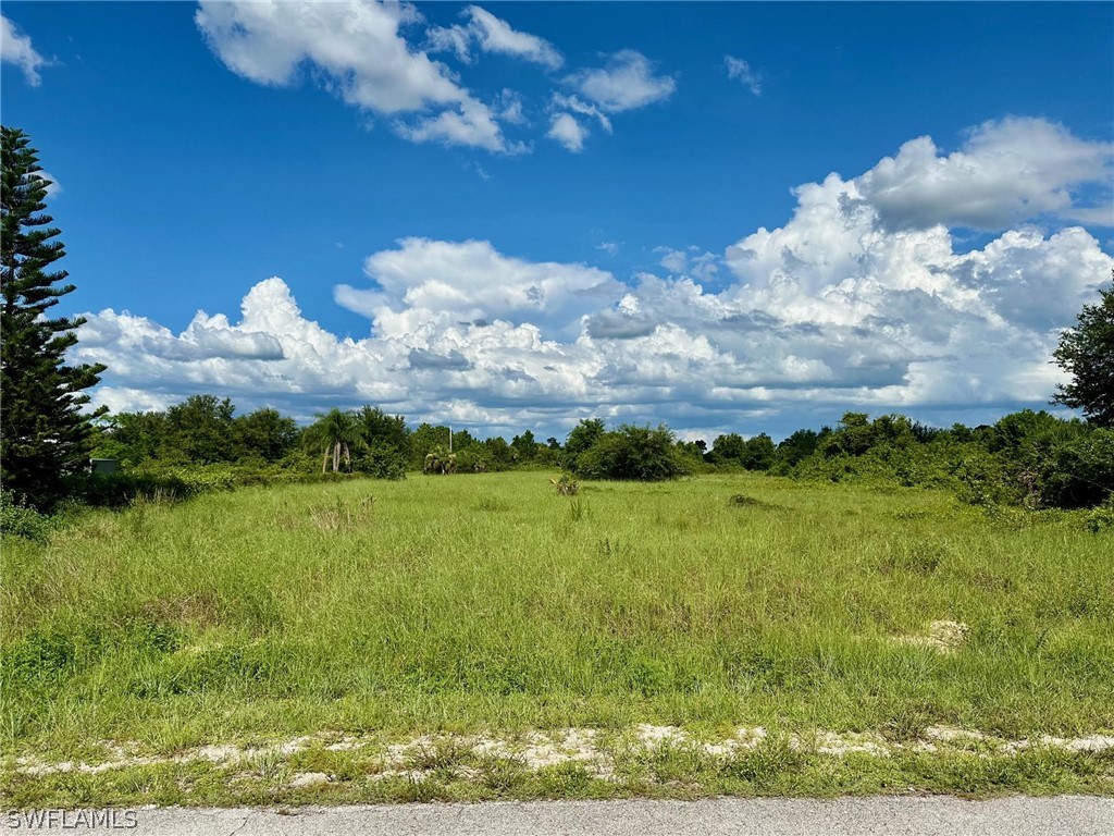 1610 Louis Avenue Lehigh Acres FL 33972 224059706 image1