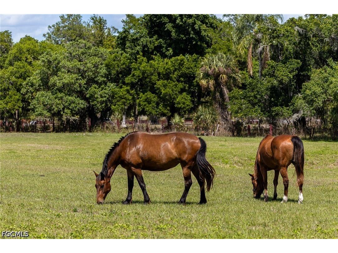 16100 N River Road Alva FL 33920 2026015078 image33