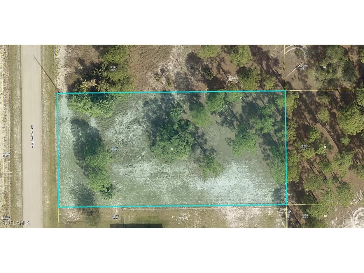 1612 Wellington Avenue Lehigh Acres FL 33972 224101139 image1