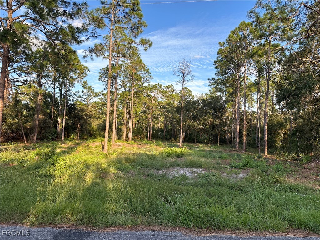 1614 8th Avenue Lehigh Acres FL 33972 2025020909 image4