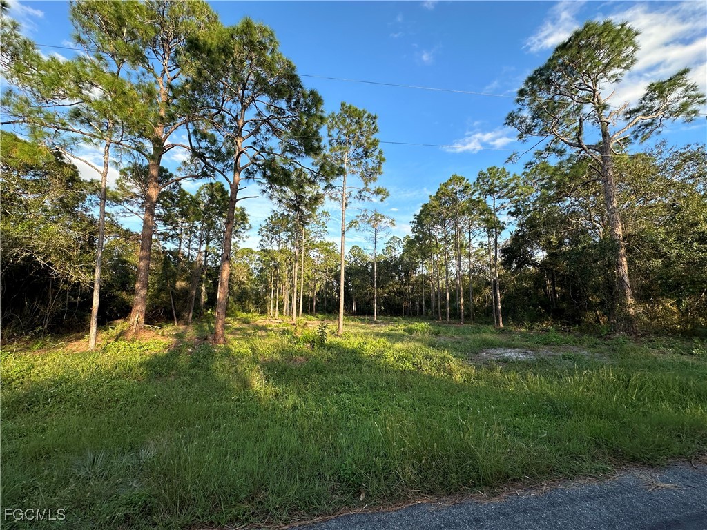 1614 8th Avenue Lehigh Acres FL 33972 2025020909 image5