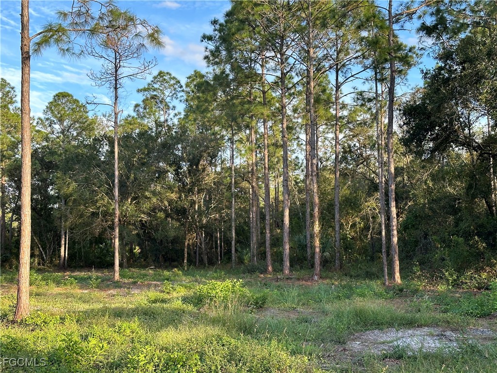 1614 8th Avenue Lehigh Acres FL 33972 2025020909 image6