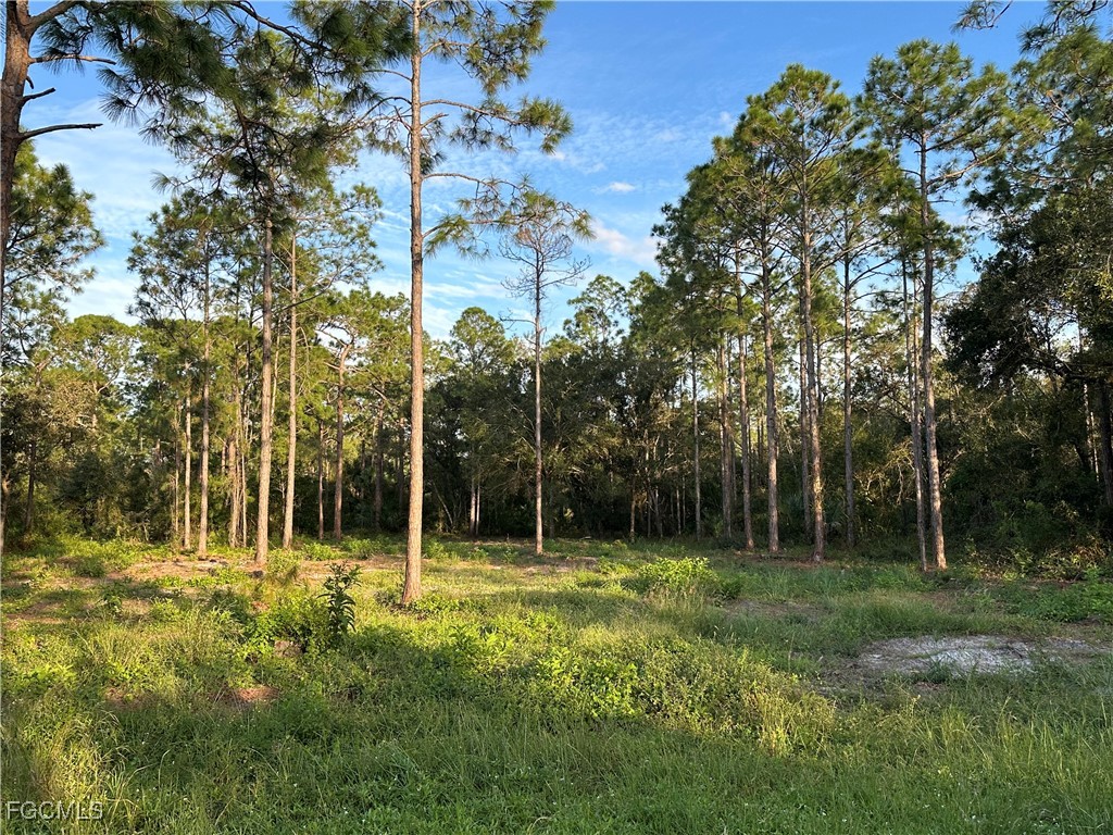 1614 8th Avenue Lehigh Acres FL 33972 2025020909 image7