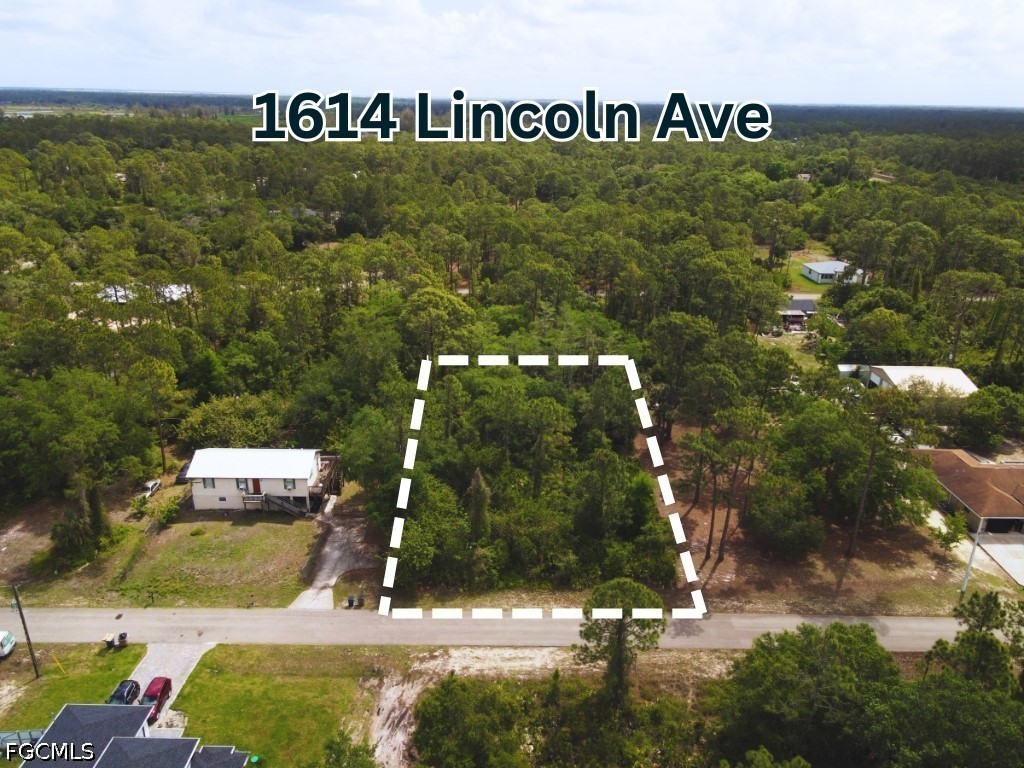 1614 Lincoln Avenue Lehigh Acres FL 33972 2026017298 image1