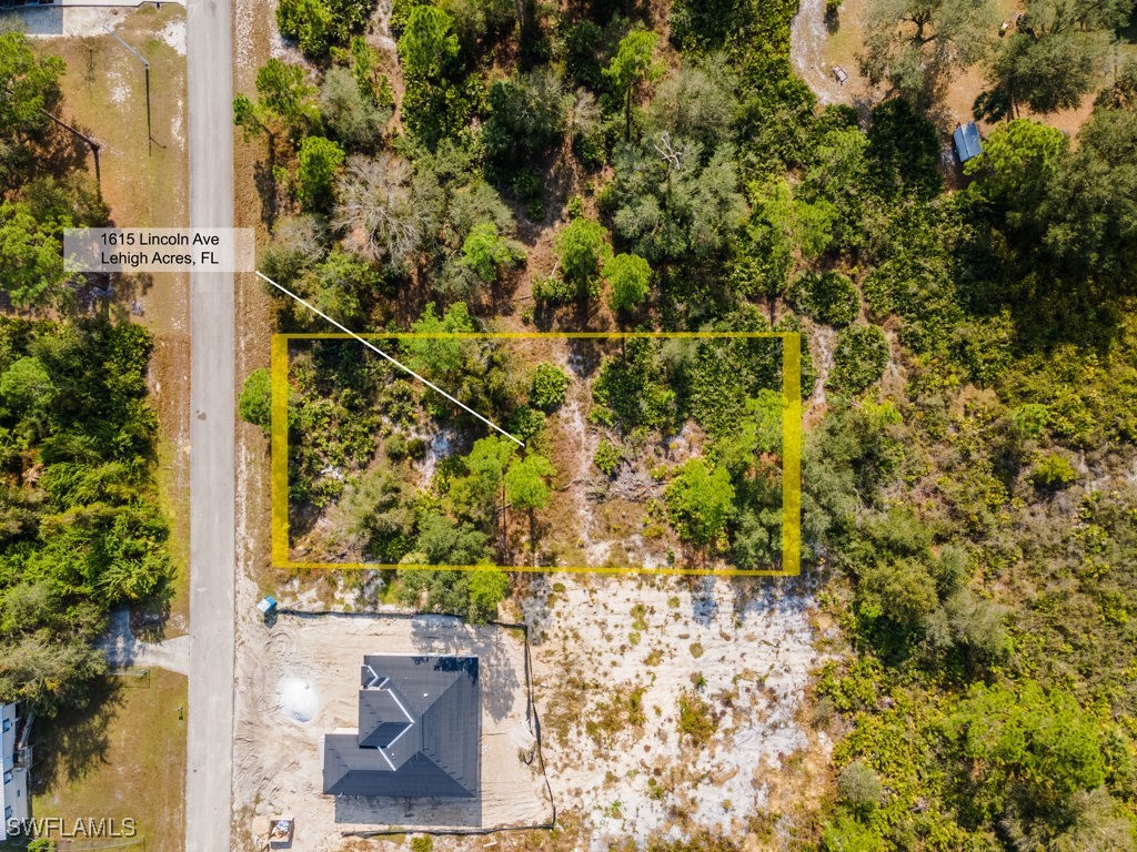 1615 Lincoln Avenue Lehigh Acres FL 33972 224103630 image1