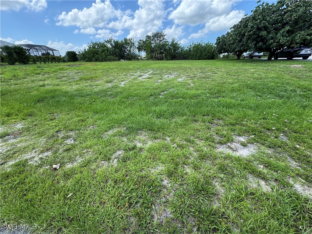 1618 NW 9th Street Cape Coral FL 33993 225063932 image3