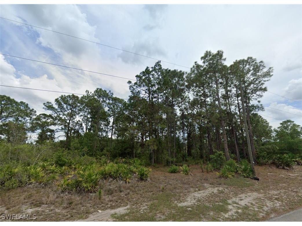 1618 Willard Avenue Lehigh Acres FL 33972 226008441 image1