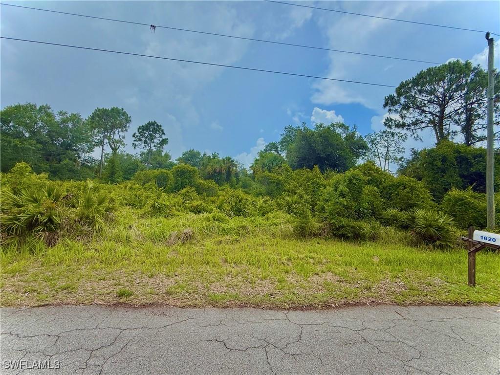 1619 Fifth Avenue Lehigh Acres FL 33972 225050481 image1