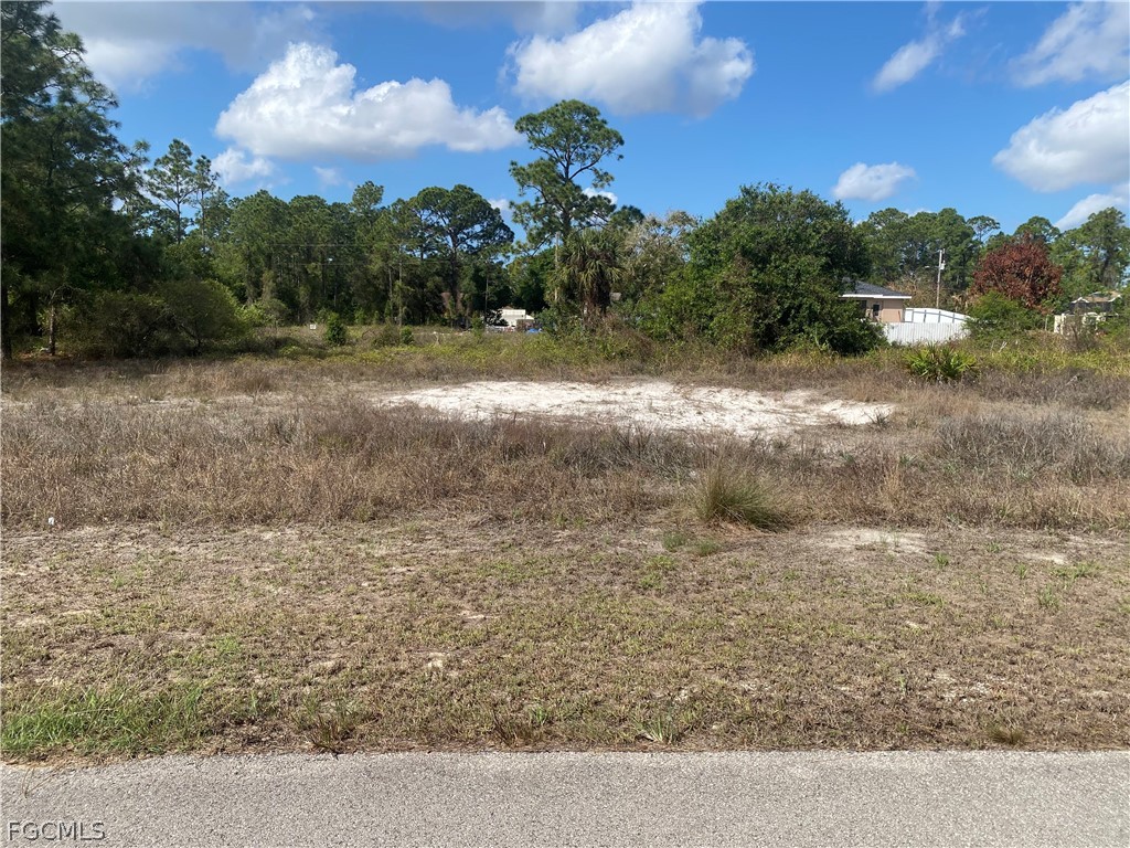 162 Blakely Avenue S Lehigh Acres FL 33974 2026008992 image1