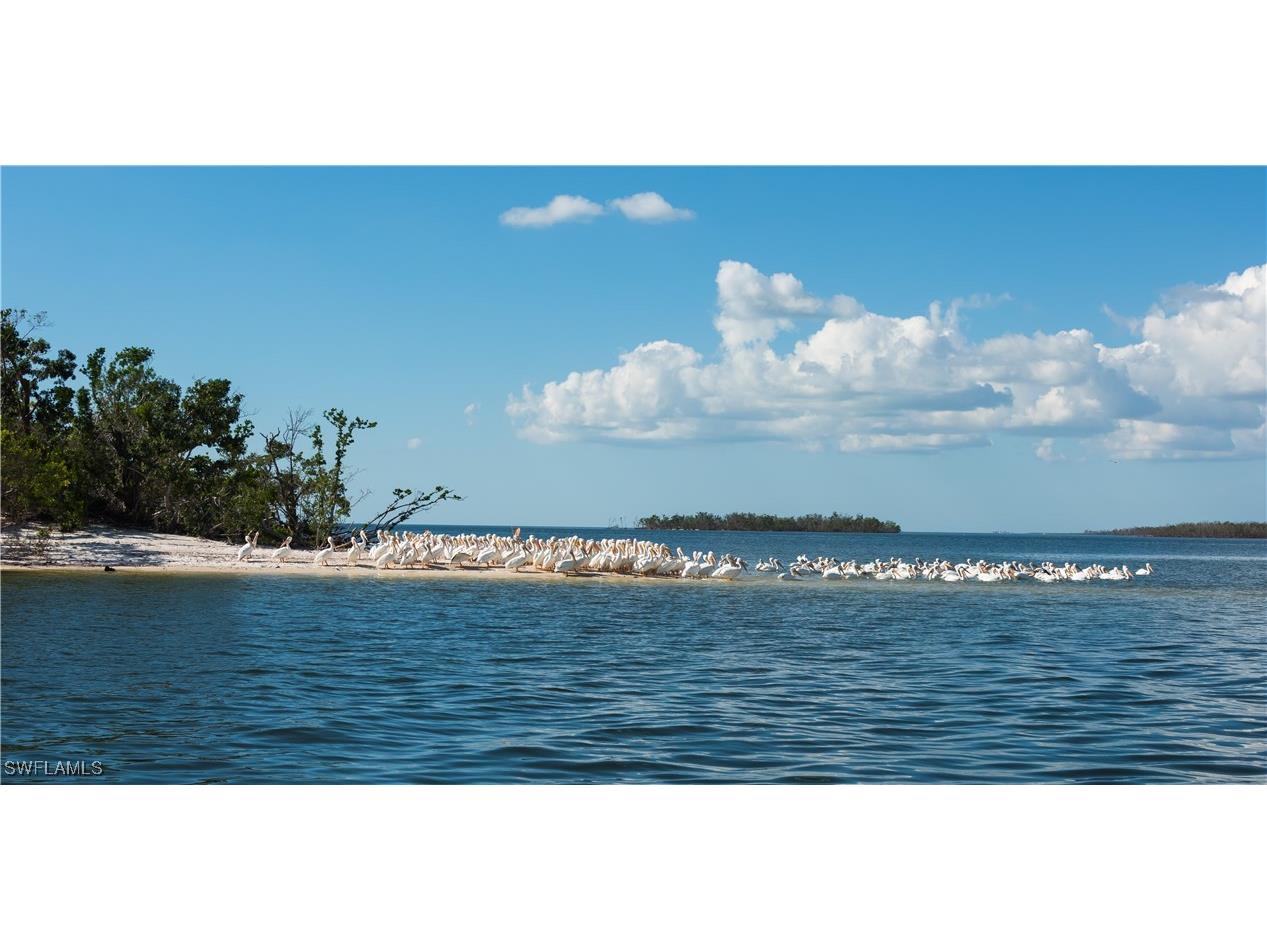 162 Newport Drive #1207 Naples FL 34114 226004433 image48
