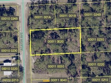 1620 Acacia Avenue Lehigh Acres FL 33972 223046833 image1