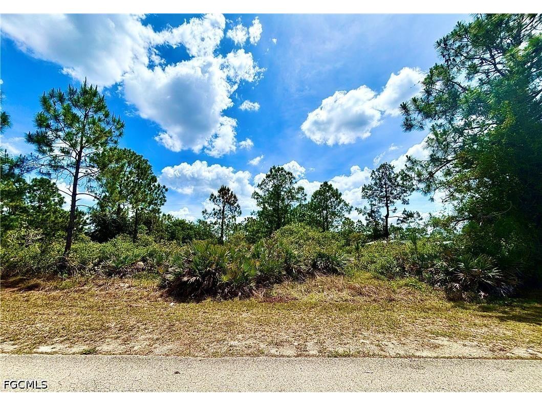 1620 Hibiscus Avenue Lehigh Acres FL 33972 2026020674 image1