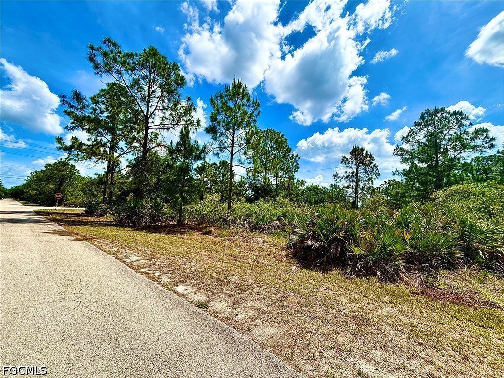 1620 Hibiscus Avenue Lehigh Acres FL 33972 2026020674 image2