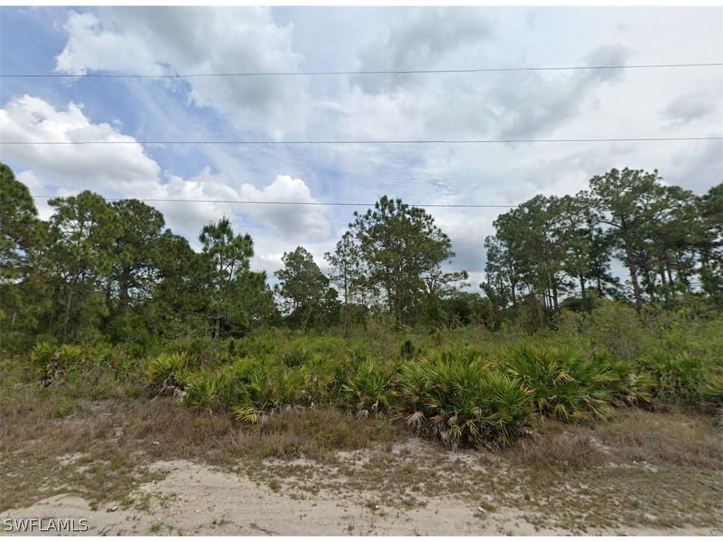 1620 Willard Avenue Lehigh Acres FL 33972 226008440 image1