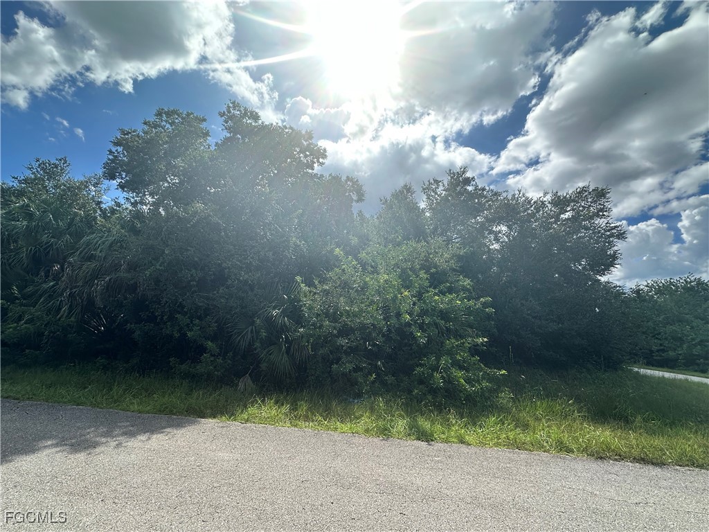 1621 Canton Avenue Lehigh Acres FL 33972 2025008531 image4